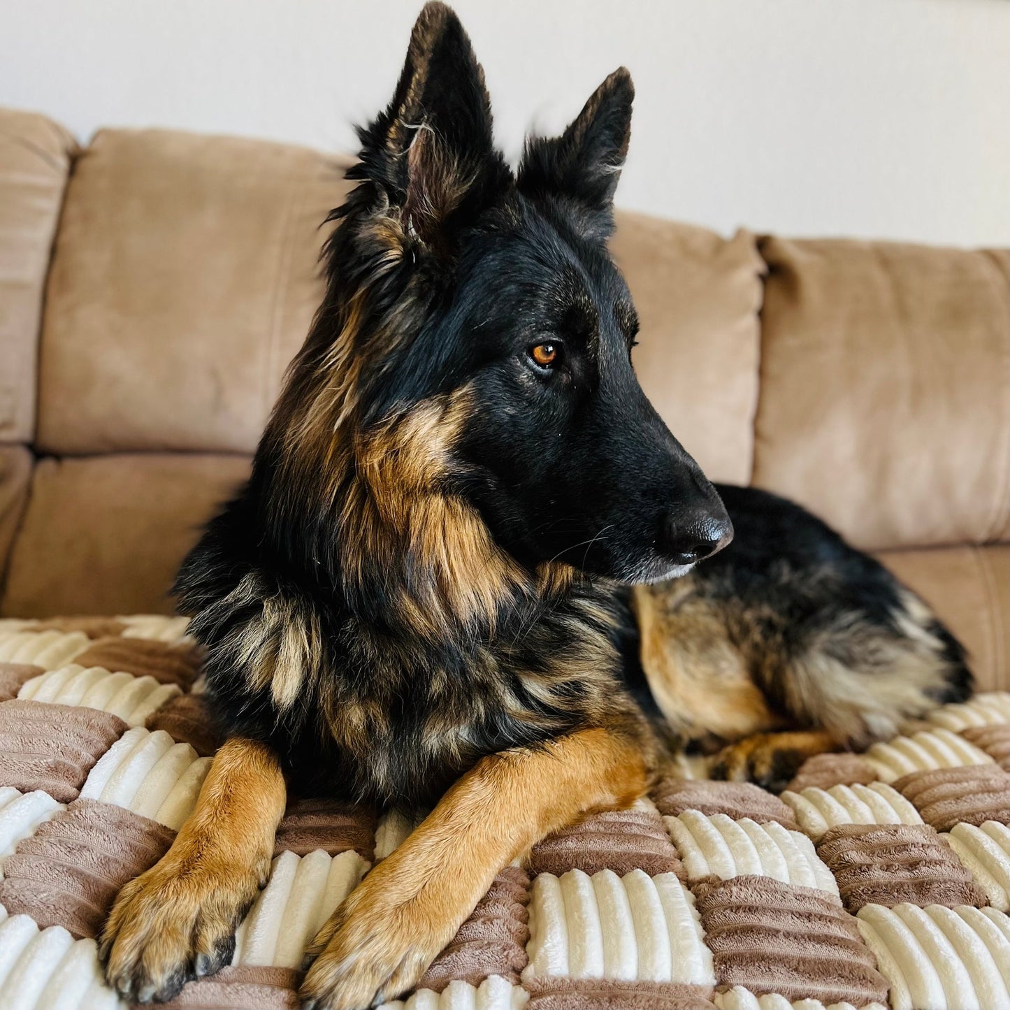 Pet Cover™ - Non-Slip & Pet-Friendly Essential